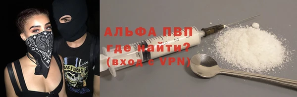 МДПВ Богородск