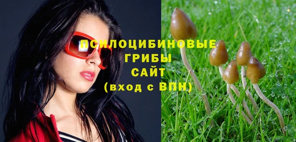 МДПВ Богородск