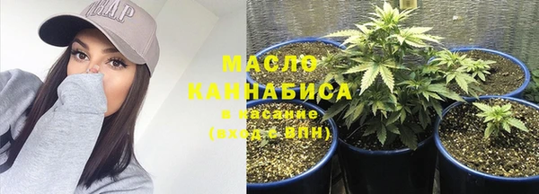 МДПВ Богородск