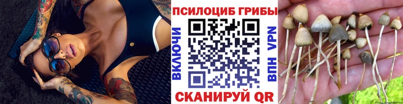 Псилоцибиновые грибы прущие грибы  Бородино 